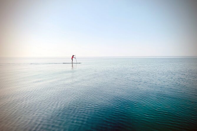 Private Paddle Board Tour to Ladram Bay From Sidmouth - Customer Reviews and Testimonials