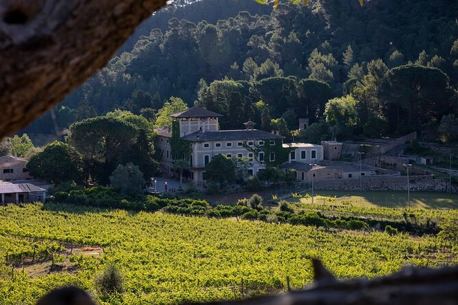 Private Picnic Experience With Winery Tour & Tasting in Mallorca - Cancellation Policy and Support