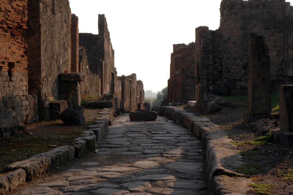 Private Pompeii & Vesuvius Wine Tasting Tour - Booking Information
