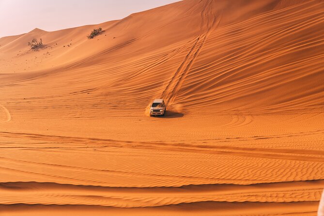 Private Premium Dubai Evening Dune Bashing With Live BBQ - Safety Guidelines