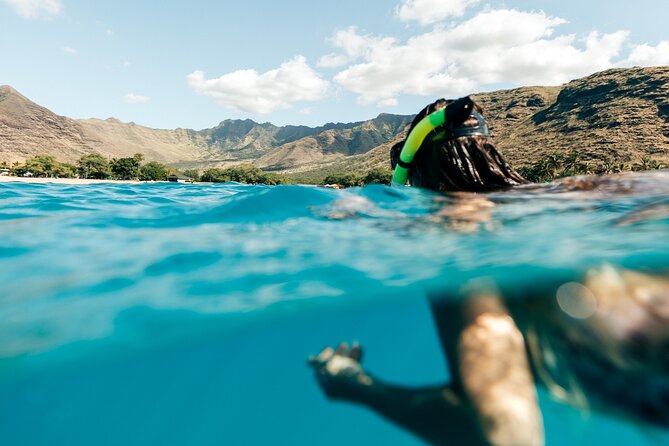 Private Snorkel Trip With Lunch From Waikiki on a Yacht - Last Words