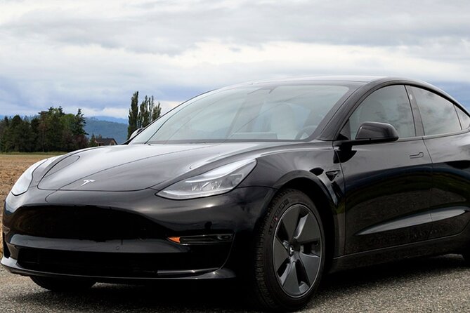 Private Tesla Transfer From Phoenix Airport to All Hotels - Service Benefits and Features