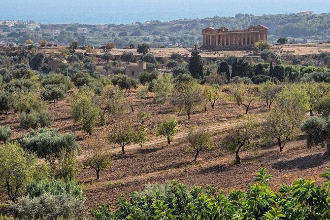 Private Tour Agrigento Valley of the Temples Park and Scala Dei Turchi - Pricing and Discounts