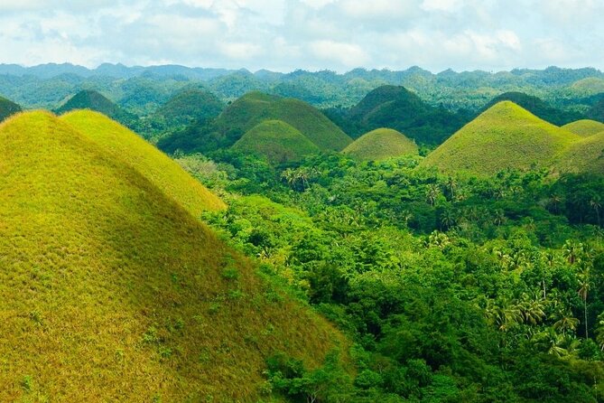 Private Tour: Bohol - 2 Days and 1 Night - Refund Policy