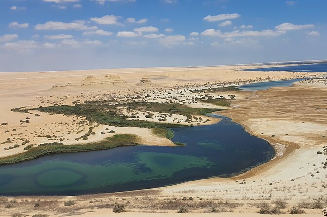 Private Tour El Fayoum Oasis and Wadi Rayan Waterfall From Cairo - Traveler Resources and Support