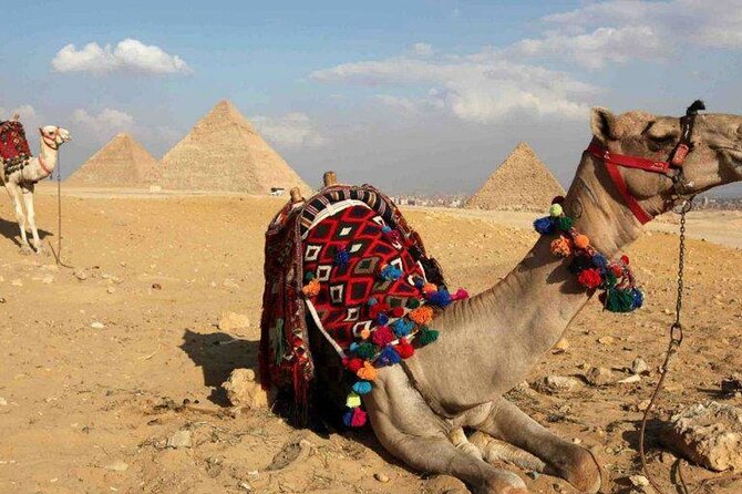 Private Tour: Giza Pyramids, Sphinx, Memphis, Sakkara - Insider Tips and Recommendations