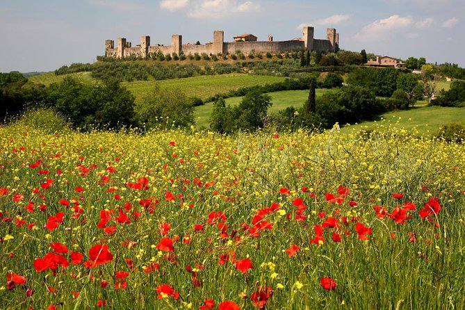 Private Tour: Guided Hike in Tuscany With Transport From Siena - Traveler Reviews and Ratings