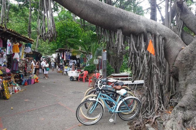 Private Tour in El Malecon Boardwalk Bike Ride - Varied Tour Experiences Offered