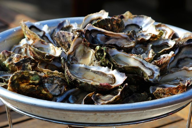 Private Tour: Mali Ston Day Trip With Oyster Tasting From Dubrovnik - Additional Information