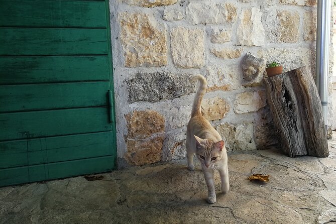 Private Tour of Brač Island With Olive Oil Tasting - Local Cuisine Sampling