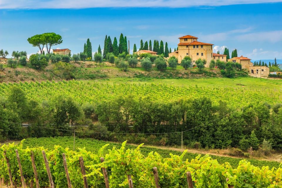 Private Tour of Florence and Chianti - Tour Highlights