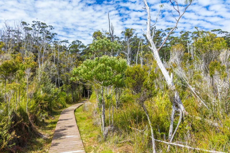 Private Tour of Tahune Airwalk & Hastings Caves From Hobart - Detailed Itinerary