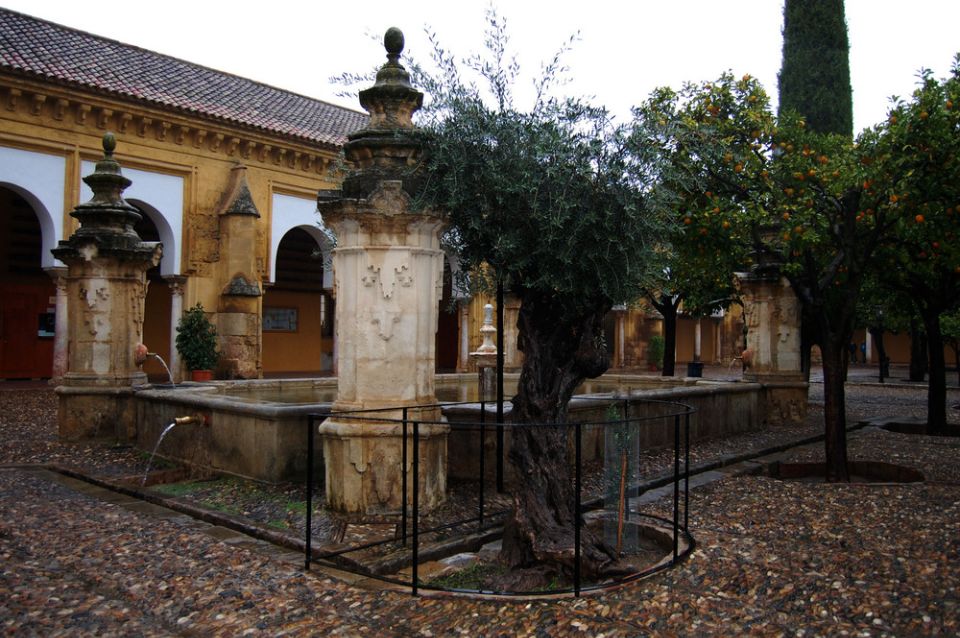 Private Tour of the Mosque-Cathedral and Jewish Quarter - Description