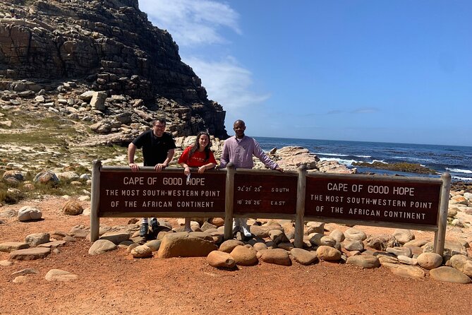 Private Tour: Table Mountain Boulders Beach Penguin Cape Point - Traveler Reviews