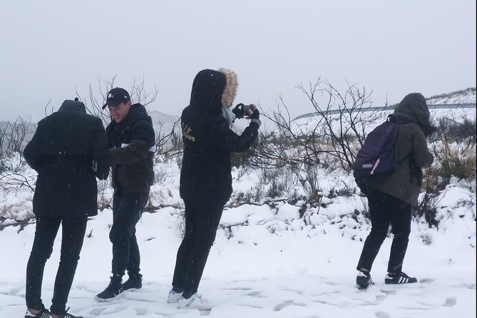 Private Tour Through Serra Da Estrela Park and Its Famous Cheese - Inclusions and Services Provided