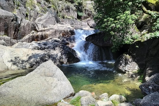 Private Tour to Peneda-Gerês National Park, for Nature Fans - Nature Encounters