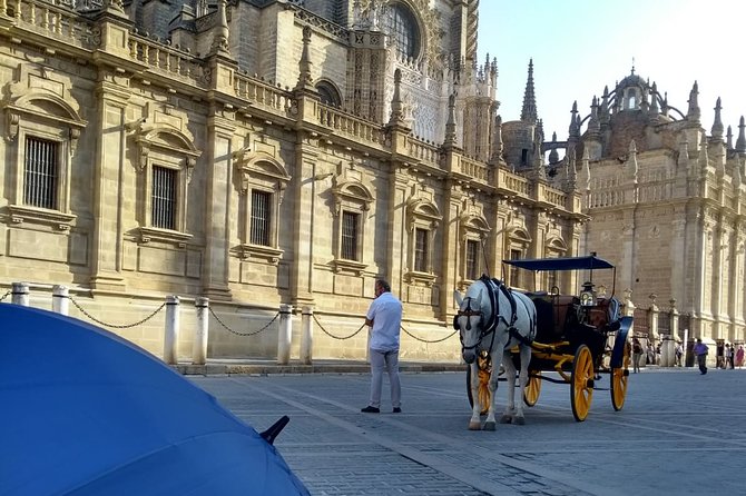 Private Tour to Sevilles Cathedral - Meeting Point Information