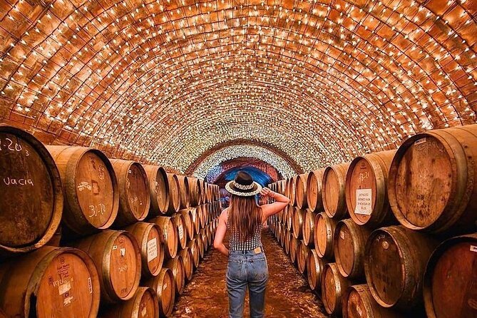 Private Tour to Tequila Unique Experience Price Groups of up to 4 - Traveler Experience Highlights
