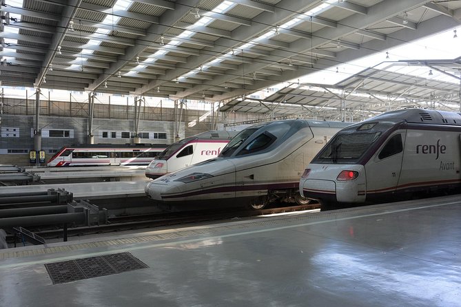 Private Tour: Toledo Day Trip From Madrid by High-Speed Train - Overview of the Day Trip