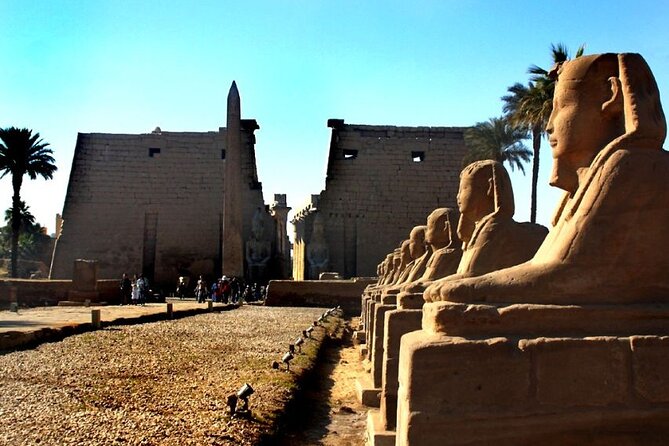 Private Tour:Karnak&Luxor Temples&Hatshepsut, Queens&Kings Tombs - Customer Reviews