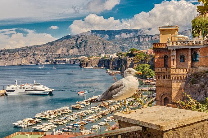 Private Transfer From Rome to Sorrento - Pricing and Terms