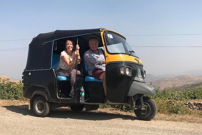 Private Udaipur Sightseeing Tour by Tuk-Tuk or Car With Driver - Traveler Experience and Reviews