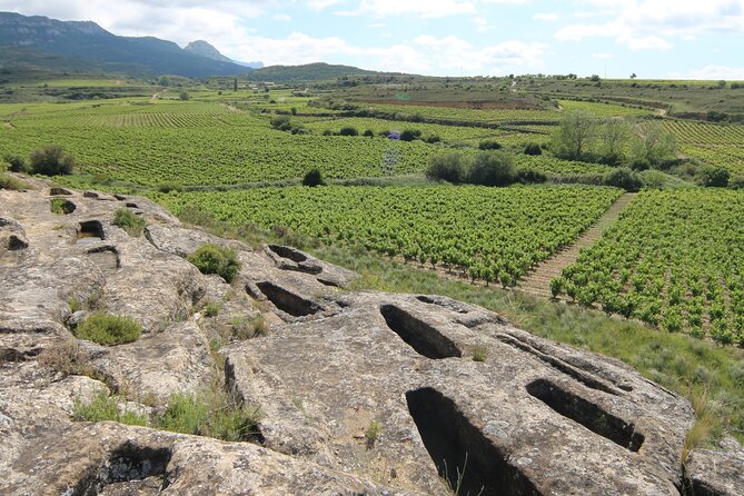 Private Vineyards Tour in San Vicente De La Sonsierra - Detailed Tour Description and Highlights