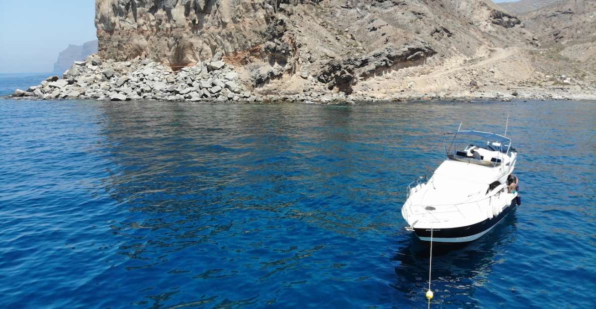 Puerto De Mogan : Dolphin Boat Trip - Inclusions