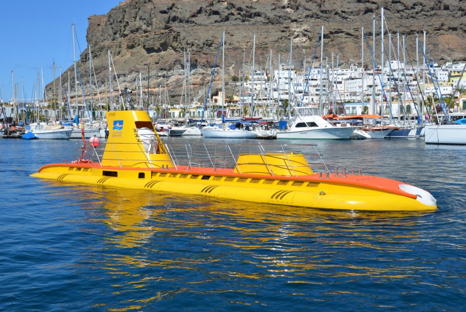 Puerto De Mogán: Submarine Tour - Logistics and Meeting Point