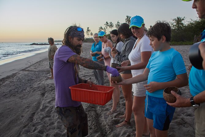 Puerto Vallarta: Help Release Baby Sea Turtles - Participant Experience