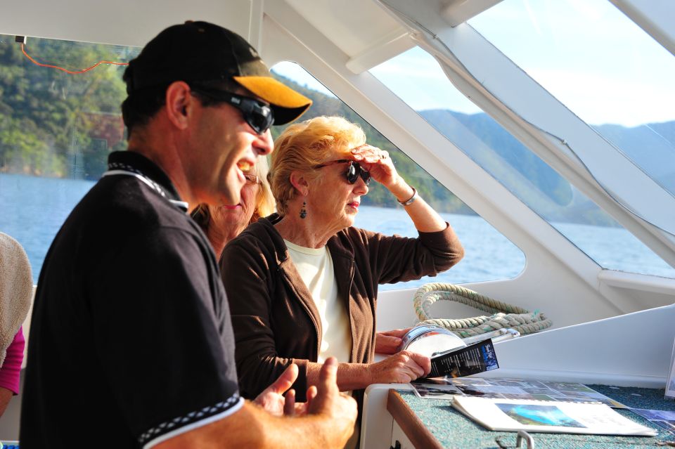 Queen Charlotte Sound Mail Boat Cruise From Picton - Full Activity Description of the Cruise