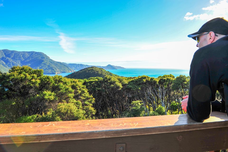 Queen Charlotte Track: Cruise & Self-Guided Hike From Picton - Customer Reviews and Feedback