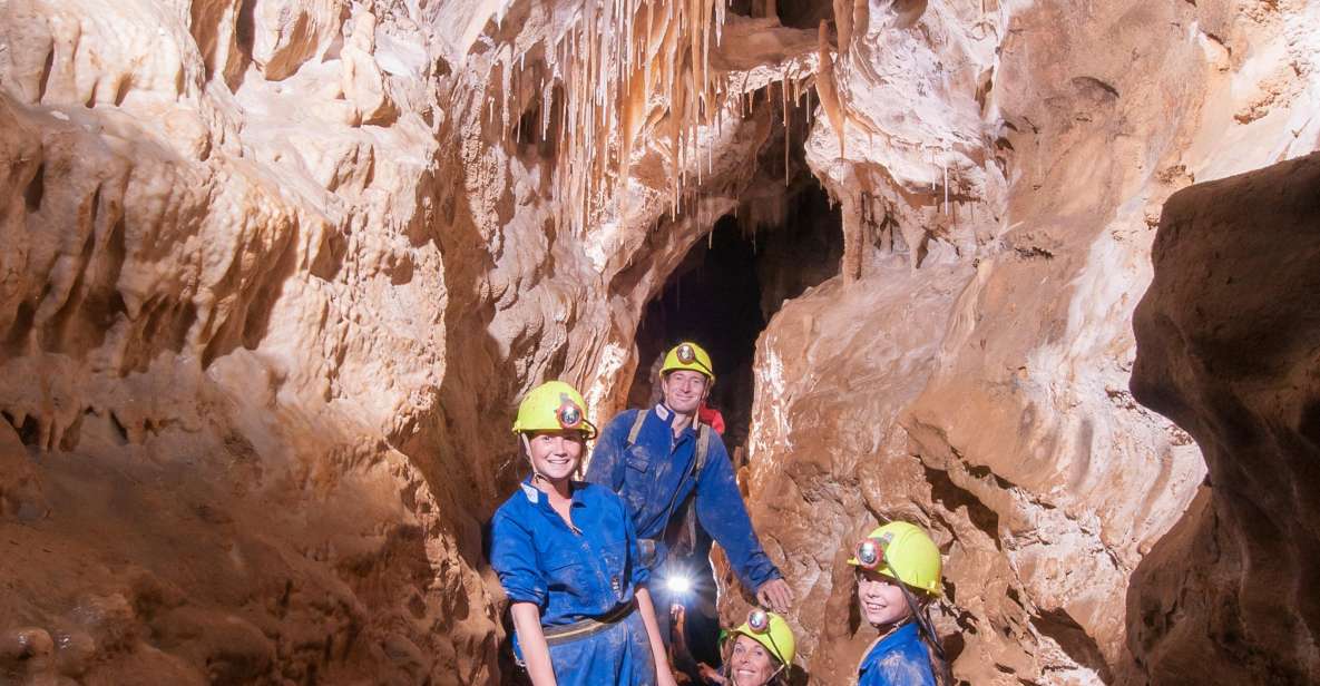 Raglan: Guided Cave Adventure With Glow Worms - Full Description