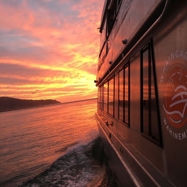 Raglan: Scenic Harbour Sunset Cruise - Inclusions