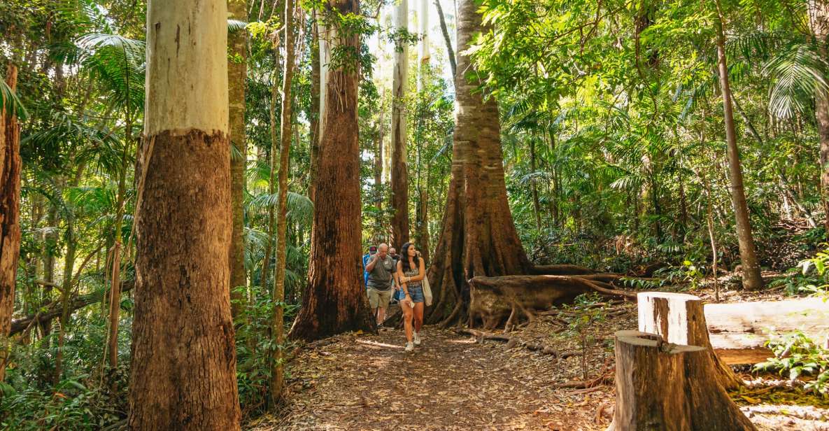 Rainforests and Glow Worm Cave: Day Tour From Brisbane - Activities and Restrictions