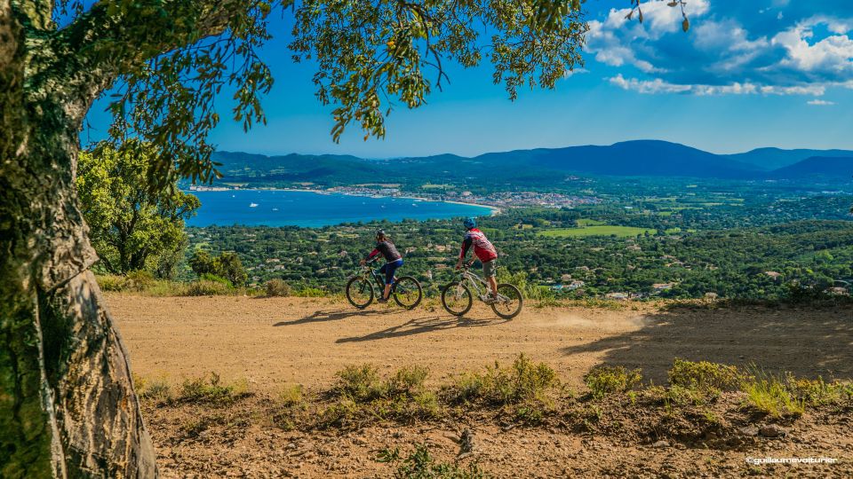 Ramatuelle: Tracks & Tasting Winery Tour by Mountain E-Bike - Activity Description and Itinerary