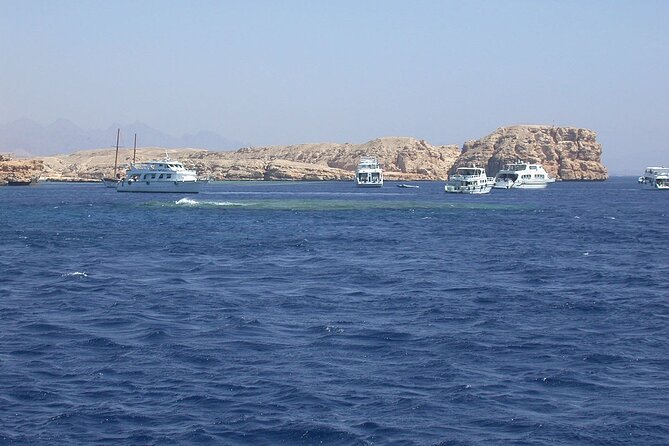 Ras Mohamed and White Island Snorkeling Trip and One Stop Diving-Sharm El Shiekh - Accessibility and Restrictions