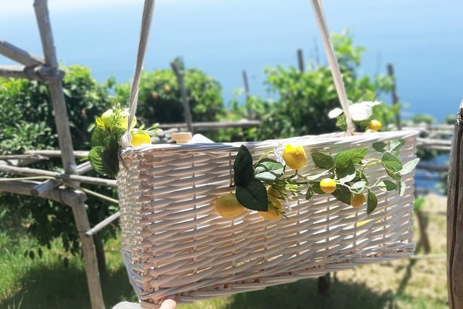 Ravello and Amalfi Day Trip With Lemon-Themed Lunch  - Sorrento - Additional Information