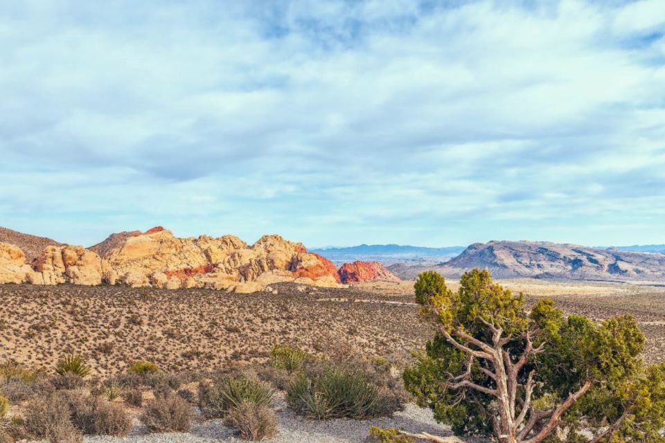 Red Rock Canyon Self-Guided Driving Audio Tour - Description and Inclusions Breakdown