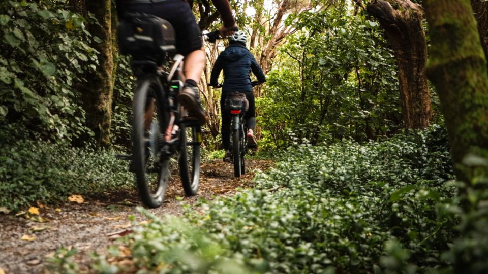 Remutaka Rail Trail Ebike Explorer - Tour Description