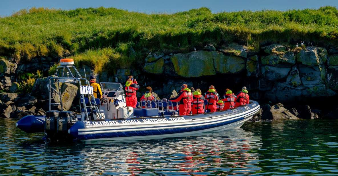 Reykjavik: Puffin Watching Tour - Puffin Watching Highlights