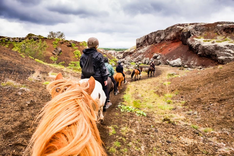 Reykjavik: Red Lava Horse Riding Tour - Customer Reviews