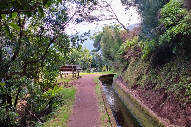 Ribeira Da Janela Tunnels and Waterfalls Tour - Reviews and Ratings