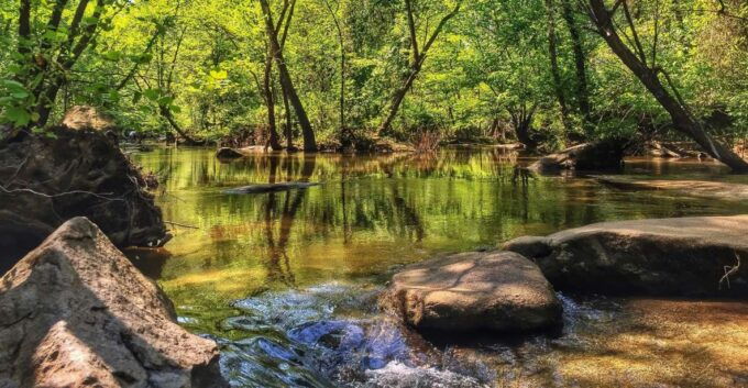 Richmond: Guided Hike in James River Park - Meeting Information