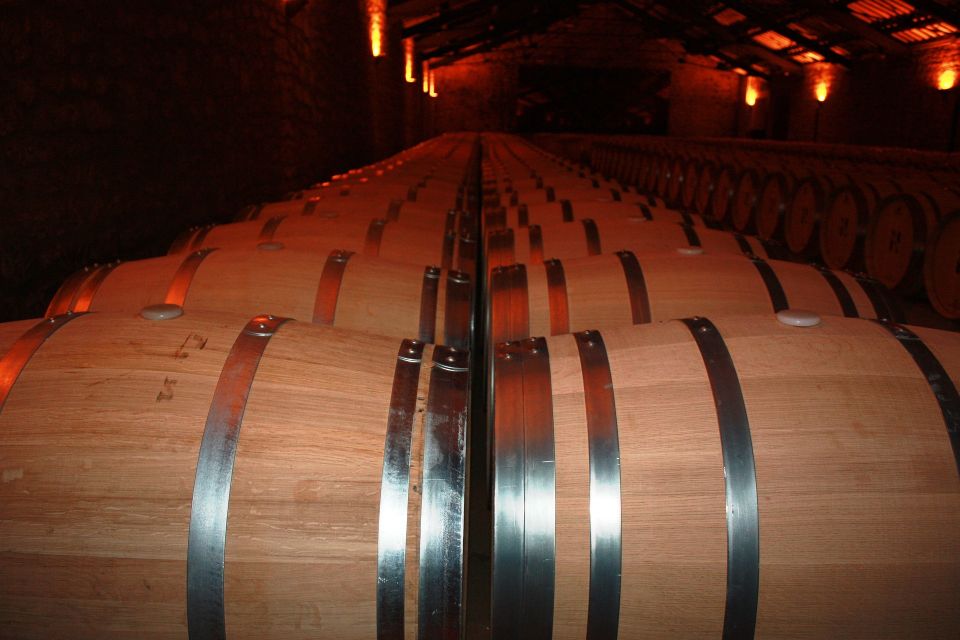 Rioja Wine Tour - Full Day Private Tour From San Sebastian - Full Description