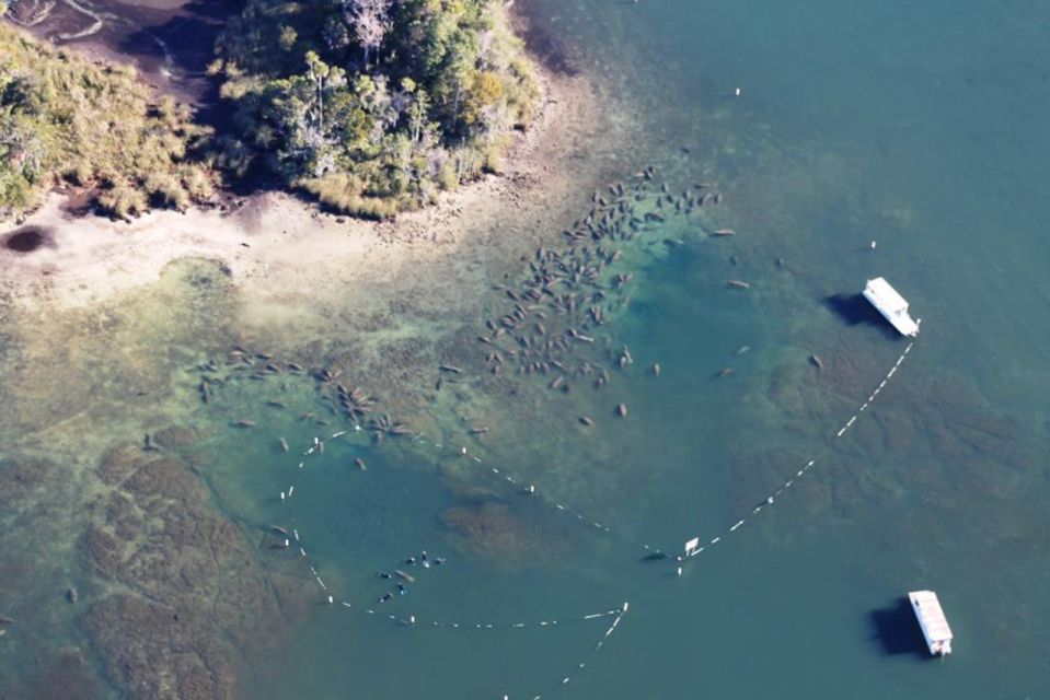 River Cruise With Manatee Viewing - Tour Highlights