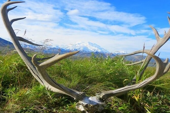 River Rafting in Alaska Wilderness - Additional Information