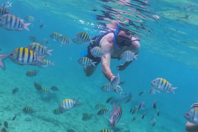 Riviera Maya Luxury Snorkeling Cruise With Lunch and Drinks - Cancellation Policy