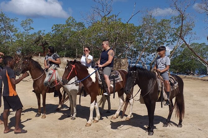 Roatan Jungle Horseback Riding and Beach - Wildlife Spotting Highlights
