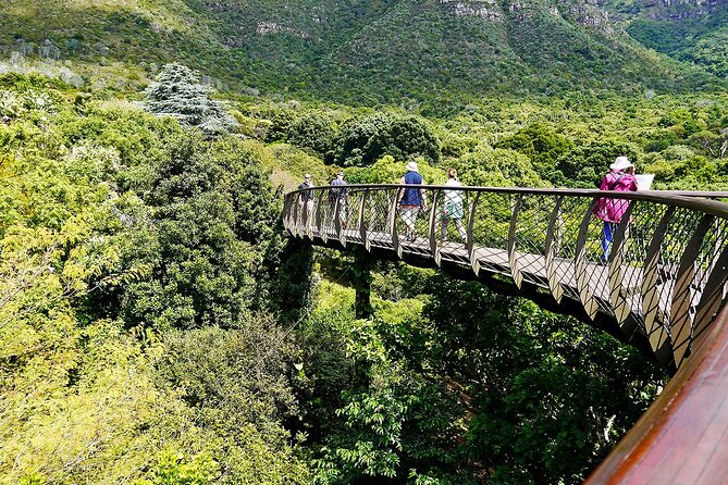 Robben Island, Kirstenbosch Wine Tasting Tour - Wine Tasting Details